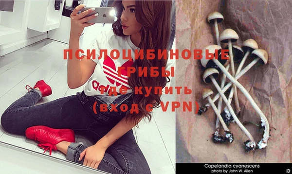 гашишное масло Карпинск