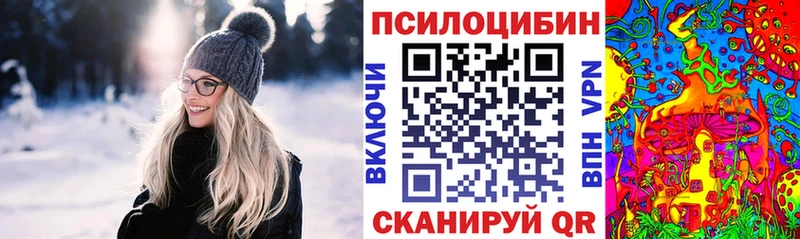 Купить где  Красновишерск  Галлюциногенные грибы GOLDEN TEACHER 